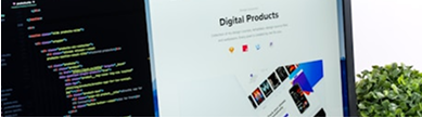 Desarrollo Web